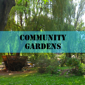 Reclaiming Space: Community Gardens